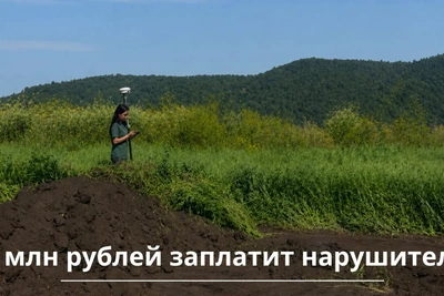 Нарушитель заплатит 2 млн за ущерб почве