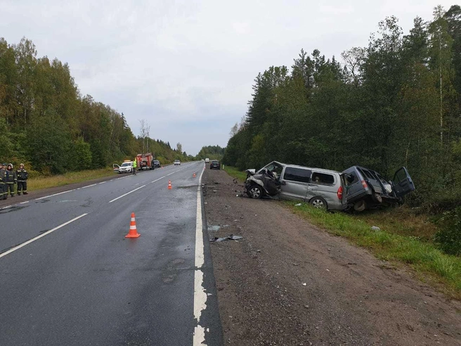Источник: пресс-службе ГУ МВД по Петербургу и Ленобласти