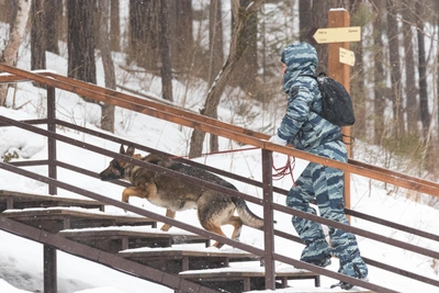 Пропавший на Столбах силовик не планировал долгой прогулки