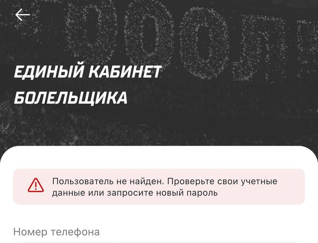 В мобильной версии тоже ошибки | Источник: 93.RU