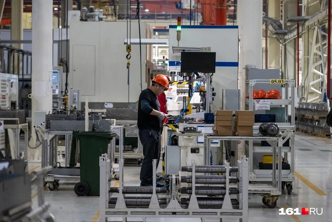 Источник: Евгений Вдовин / 161.RU