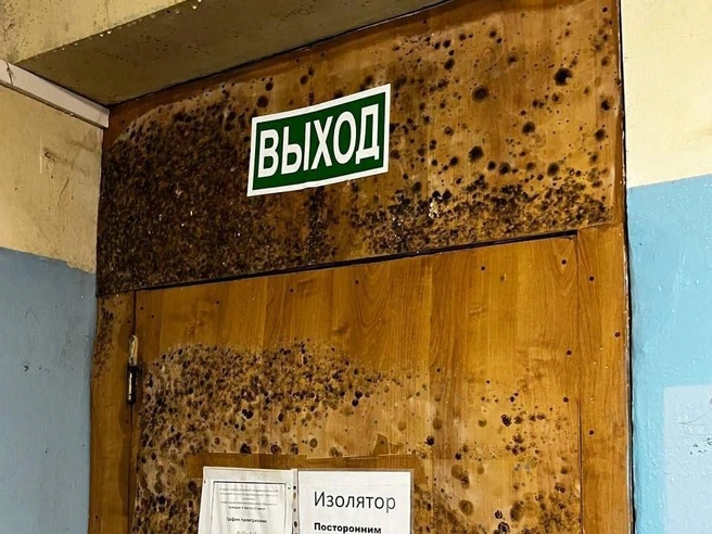 Черная плесень распространилась на стены и потолочные поверхности | Источник: читатели V1.RU