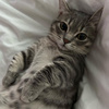 userpic__bketeenkoaerf