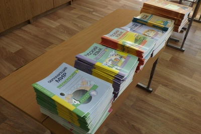 Школы Димитровграда закрыли на карантин из-за ОРВИ