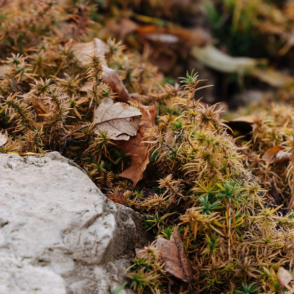 Красота в деталях | Источник: «Самарский университет» / Vk.com 