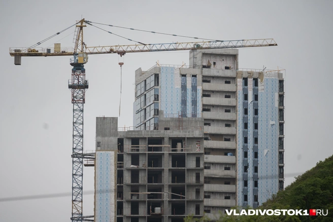 В собственность территория не оформлена | Источник: Елена Буйвол / VLADIVOSTOK1.RU