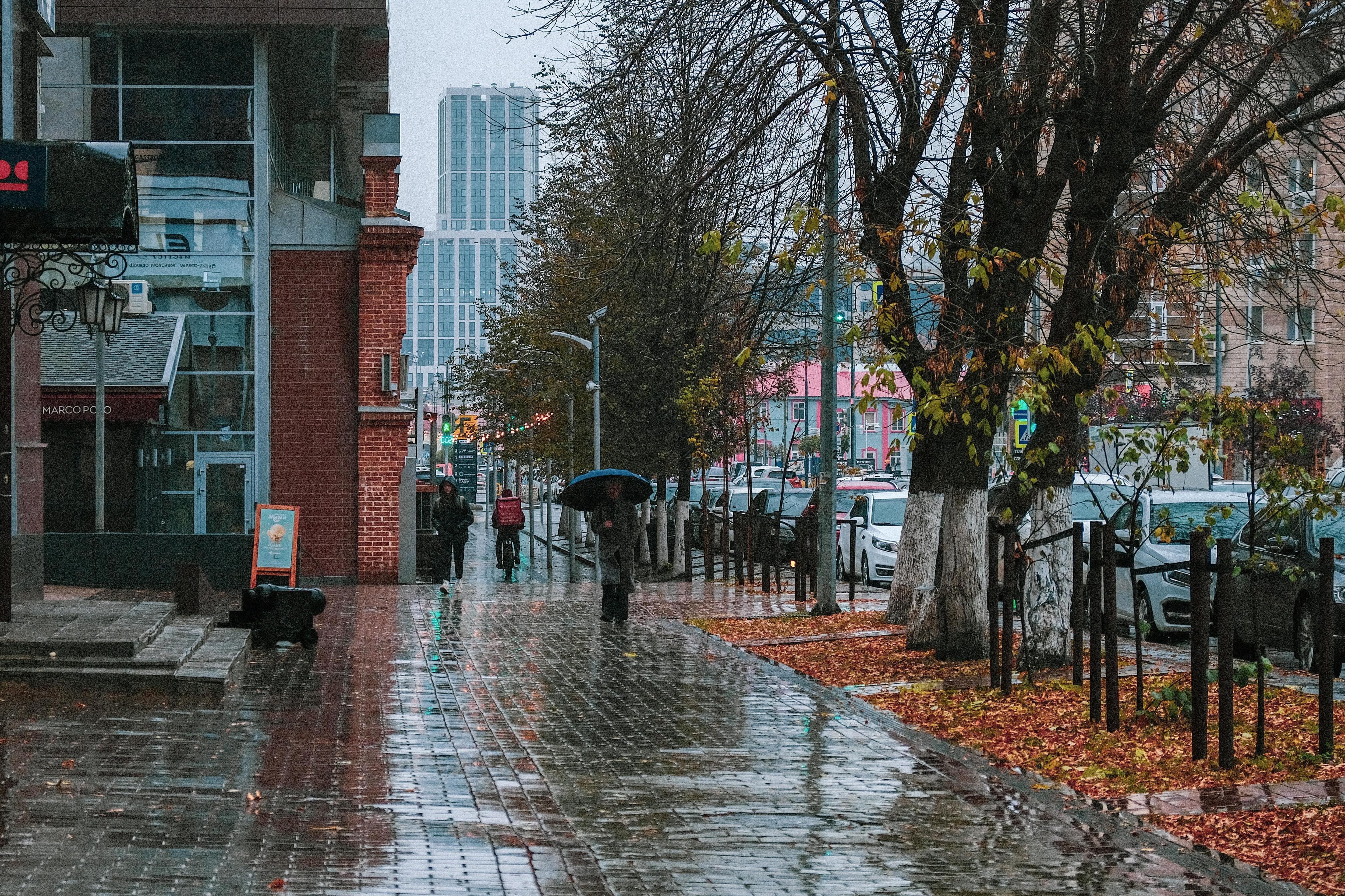 Кажется, дождь собирается: в начале рабочей недели Башкирию ждут грозы