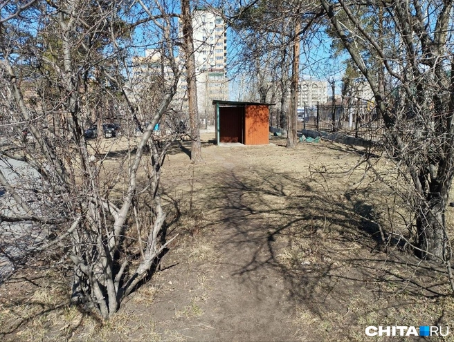 Источник: Сергей Бумагин / CHITA.RU