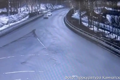 Водитель из Елизова признал вину после ДТП и помог пострадавшей