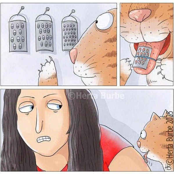 Источник: соцсети