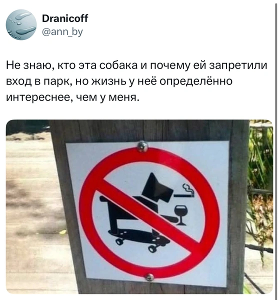 Источник: X (Twitter)