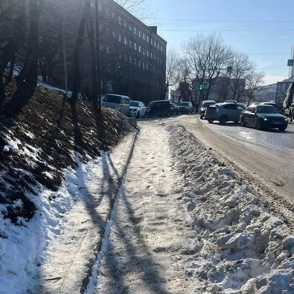 Источник: Елена Буйвол / VLADIVOSTOK1.RU