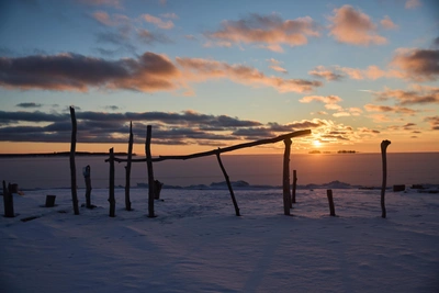 Февраль в Новосибирске: три солнечных дня
