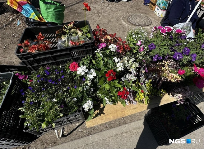 Стихийные рынки возникли на обоих берегах города | Источник: Павел Пешков / NGS.RU