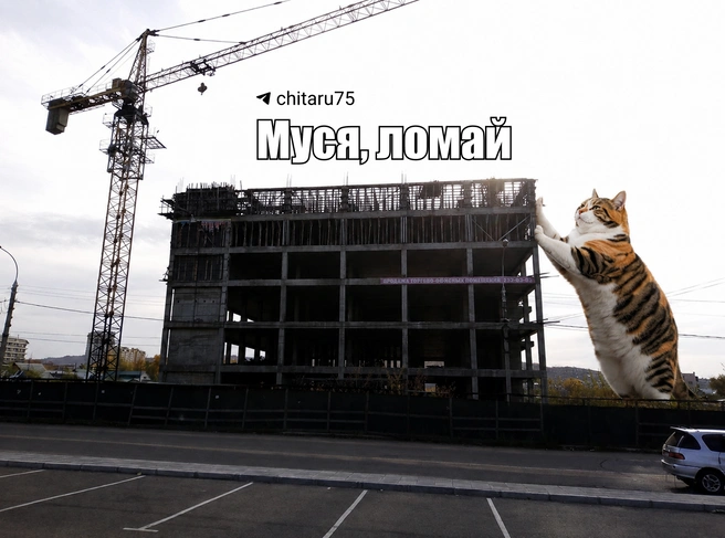 Источник: Вячеслав Палкин