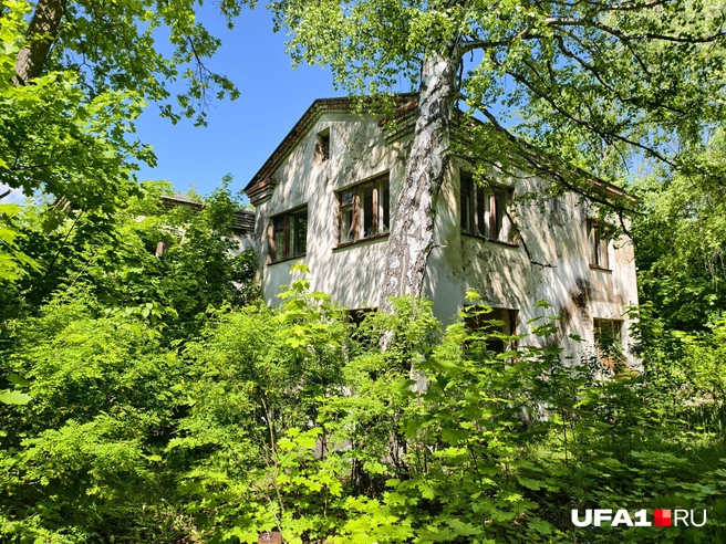 Корпус спрятался среди кустов | Источник: Булат Салихов / UFA1.RU