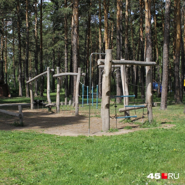 Источник: Александр Лисихин / 45.RU