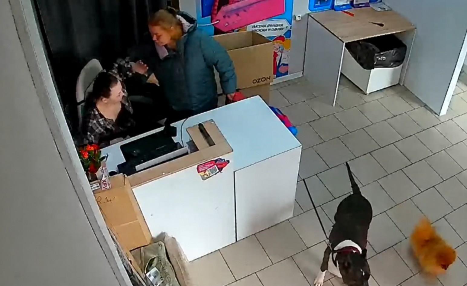 «Раскаиваюсь и как бы приношу извинения»: в Красноярске посетительницу ПВЗ оштрафовали за побои сот…