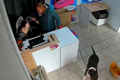 Покупательница избила сотрудницу ПВЗ в Красноярске