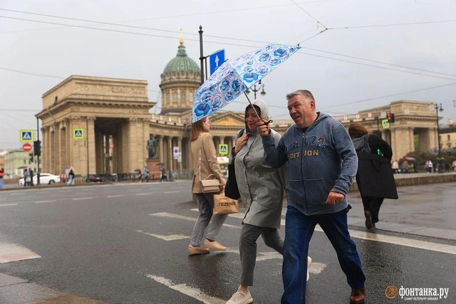 В Петербурге теплеет, но будут и дожди. Подробный прогноз на выходные | Источник: Сергей Михайличенко / «Фонтанка.ру»