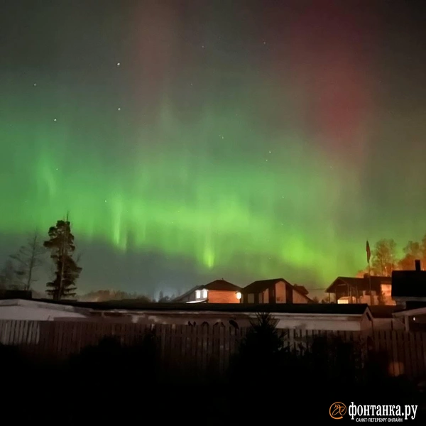 Источник: читатель «Фонтанки»