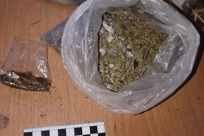 Черника помогла найти тайник с наркотиками в Туве