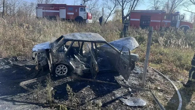 В Сасовском округе автомобиль съехал в кювет и загорелся, водитель погибла | Источник: УМВД по Рязанской области