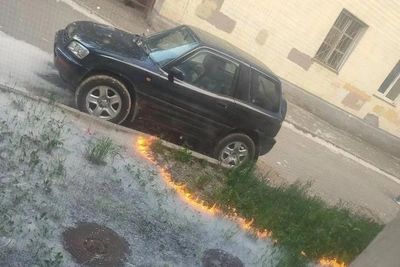 В Екатеринбурге поджигают тополиный пух — МЧС предупреждает