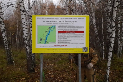 Экологи Томской области провели рейды на четырех ООПТ