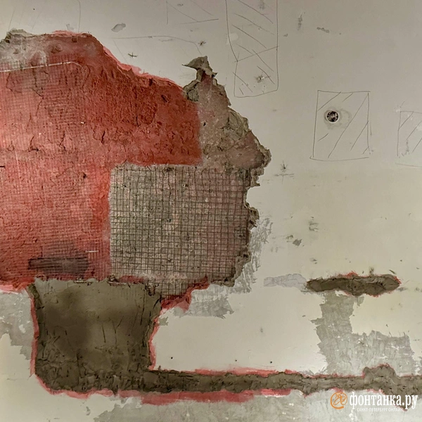 Источник: Марина Мамонтова/«Фонтанка.ру»