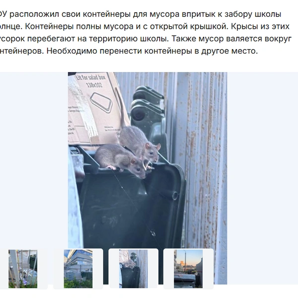 Источник: uslugi.tatarstan.ru