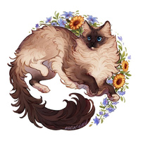 Аватарка daneschka