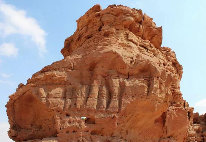 Обнаружены старейшие в мире скульптуры верблюдов