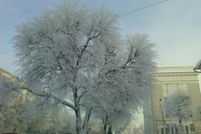 Ульяновск: потепление после морозных выходных