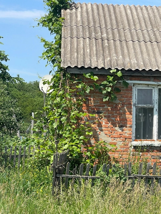 В хуторе нет ни одного магазина, но, кажется, есть связь | Источник: Юлия Приходченко
