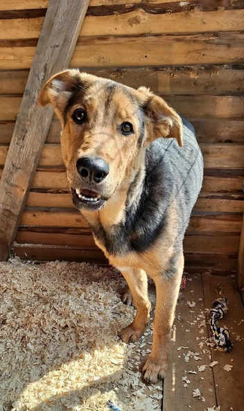 Источник: Юлия Иванова