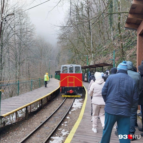 Вагончики открытые  | Источник: Екатерина Железнова / 93.RU
