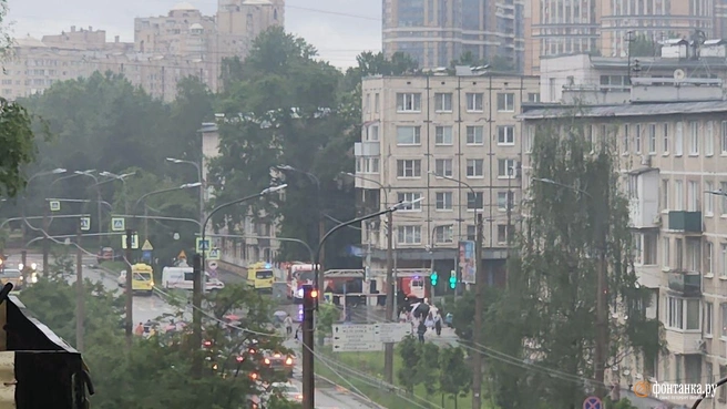 При пожаре в квартире на Ланском шоссе пострадали четверо | Источник: читатель «Фонтанки»