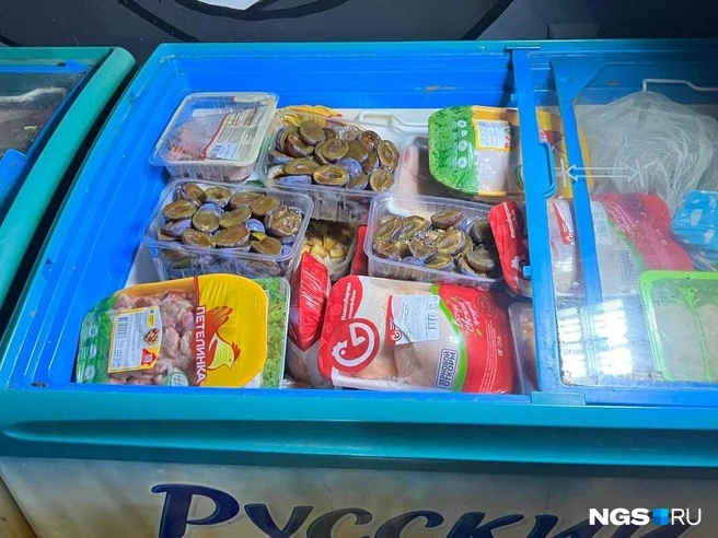 Продукты для животных — замороженные фрукты и мясо птицы — хранятся в двух витринах-морозильниках. Постепенно закупают материалы и для ремонта | Источник: Настасья Медведева / NGS.RU