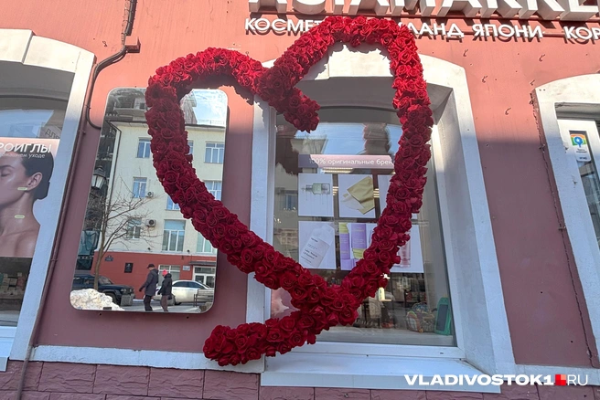 Источник: Елена Буйвол / VLADIVOSTOK1.RU