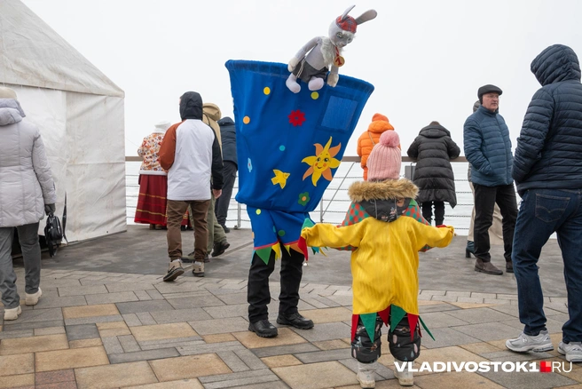 Источник: Елена Буйвол / VLADIVOSTOK1.RU