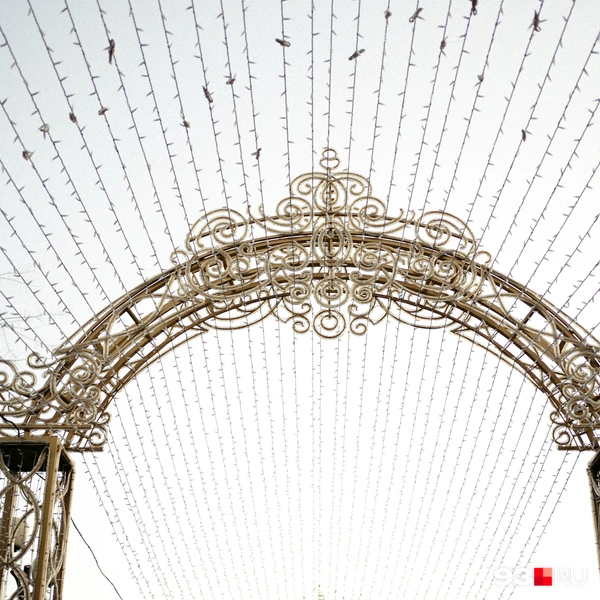 Источник: Дарья Паращенко / 93.RU