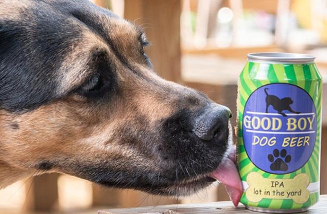 В США начали варить пиво для собак