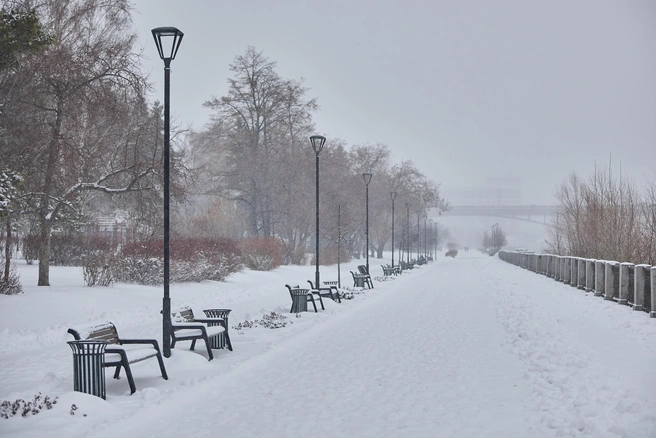 В Кузбассе наступила зима с морозами и снегопадами | 142.ru