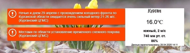 Источник: Курганский ЦГМС