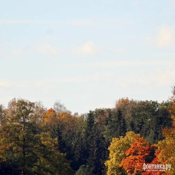 Источник: Лада Шаталова / читательница «Фонтанки»