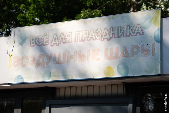 Источник: st.cherinfo.ru