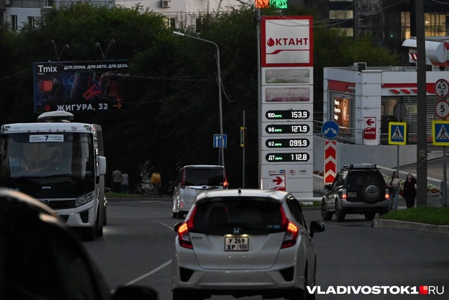 Источник: Елена Буйвол / VLADIVOSTOK1.RU