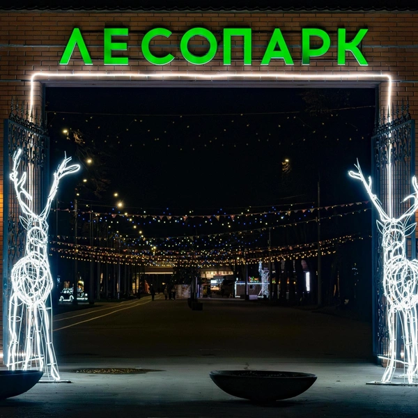 Источник: администрация Рязани