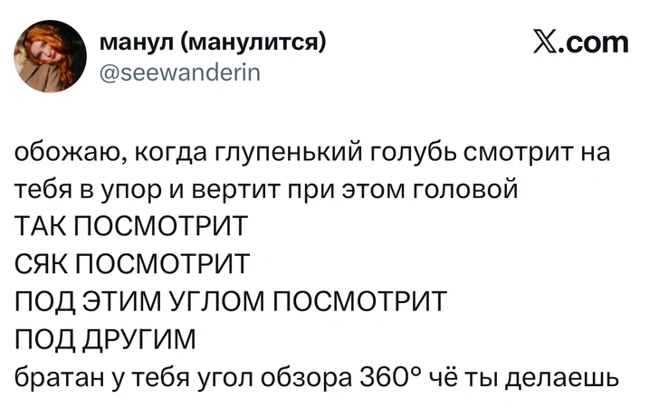 Источник: X (Twitter)